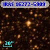IRAS 16272-5909