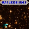 IRAS 16336-5951