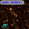 LEDA 2828872