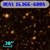 IRAS 16366-6008