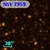 NSV  7959