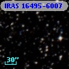 IRAS 16495-6007