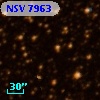 NSV  7963