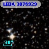 LEDA 3078929