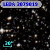 LEDA 3079019