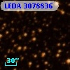 LEDA 3078836