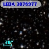 LEDA 3078977