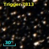 Trigger  7813