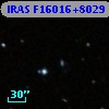 IRAS F16016+8029
