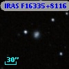 IRAS F16335+8116