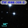TYC 4566-318-1
