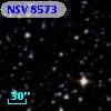 NSV  8573