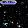 NSV  8594