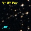 V* UY Pav