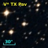 V* TX Pav