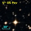 V* OS Pav