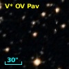V* OV Pav