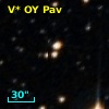 V* OY Pav