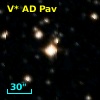 V* AD Pav