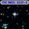 TYC 9055-1517-1