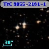 TYC 9055-2181-1