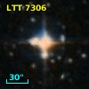 LTT  7306