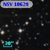 NSV 10628