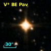 V* BE Pav