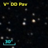 V* DD Pav