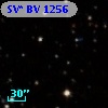 SV* BV  1256