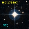 HD 175897