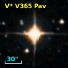 V* V365 Pav