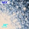 NGC  6752    61