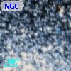 NGC  6752    51