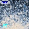 NGC  6752    50