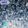 NGC  6752    49