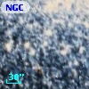 NGC  6752    10
