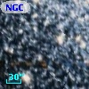 NGC  6752    25
