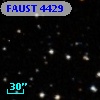 FAUST 4429