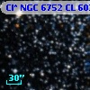Cl* NGC 6752     CL     602