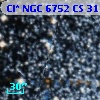 Cl* NGC 6752     CS      31