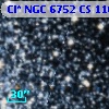 Cl* NGC 6752     CS     110