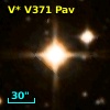 V* V371 Pav