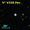 V* V339 Pav