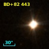 BD+82   443