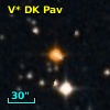 V* DK Pav