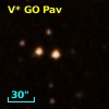 V* GO Pav