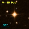 V* BR Pav
