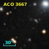 ACO  3667