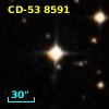 CD-53  8591